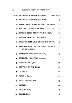Modern Horsemanship. A New Method of Teaching Riding and Training by Means | Edward L. Anderson