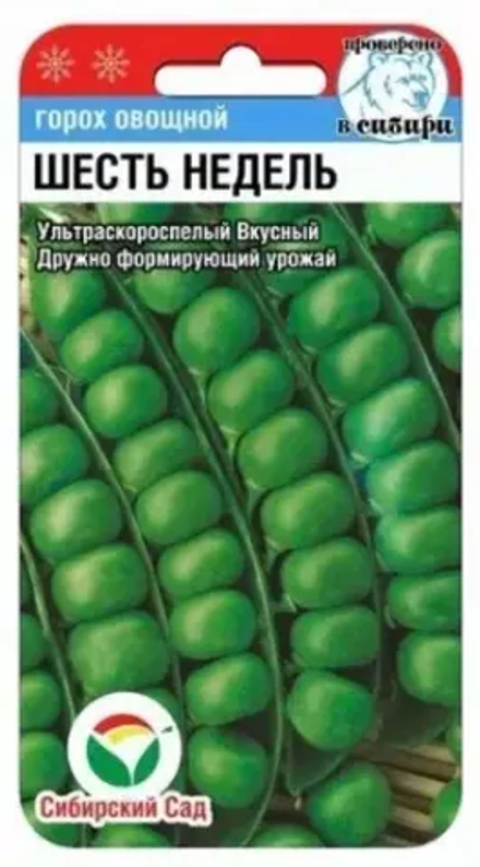 Горох 6 недель 5г (Сиб Сад)