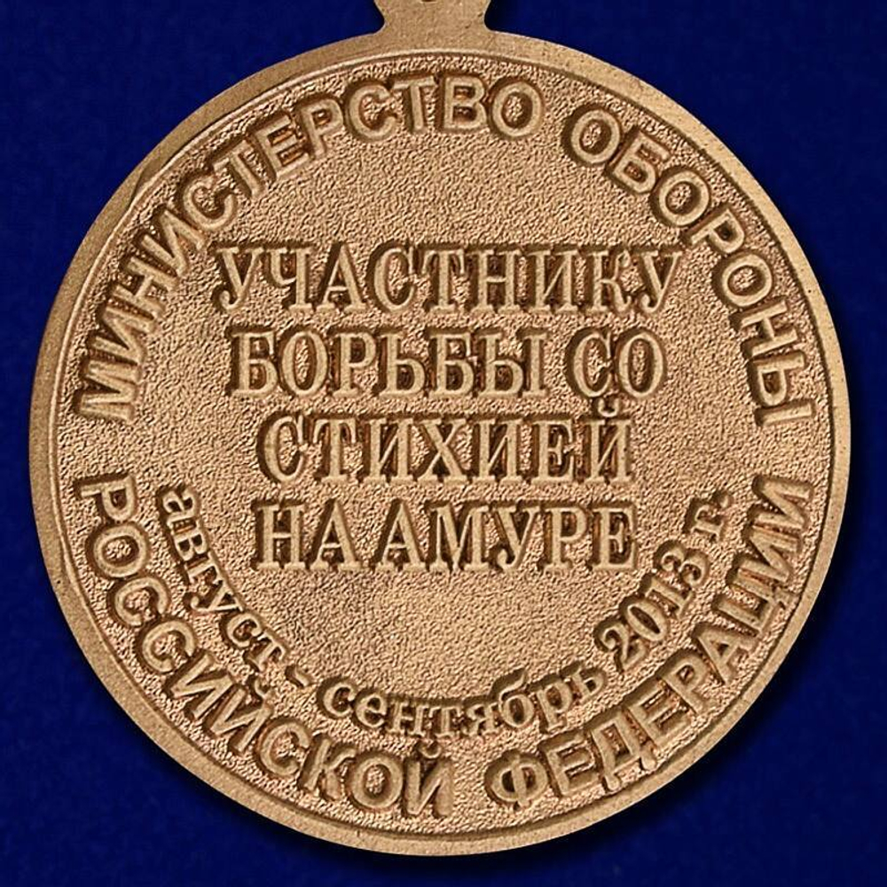 Медаль Участнику борьбы со стихией на Амуре