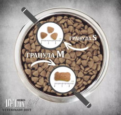 Гранулы