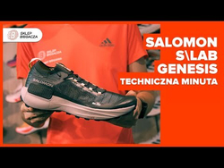 Кроссовки для бега мужские Salomon S/LAB Genesis M Черный и Синий