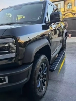 Выдвижные пороги для BYD Leopard 5 2024+ Леопард Подножки ступени Автоматические Электрические подножки