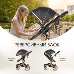 Коляска трансформер Aimile Adventurer черный