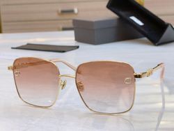 Christian Dior Glasses