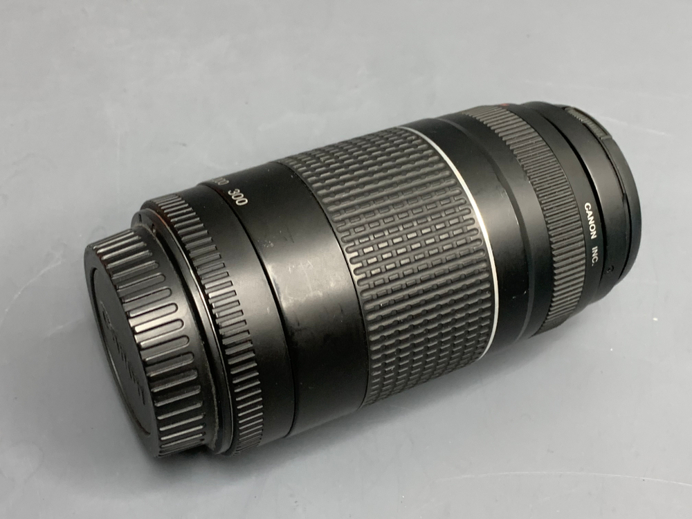 Canon EF 75-300mm 4-5.6 III USM