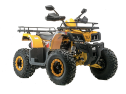 Квадроцикл 200 ALL ROAD X