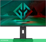 Монитор GMNG Gaming GM-24F03 черный (GM24SG03)