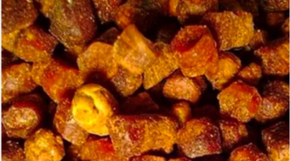 Продукты пчеловодства