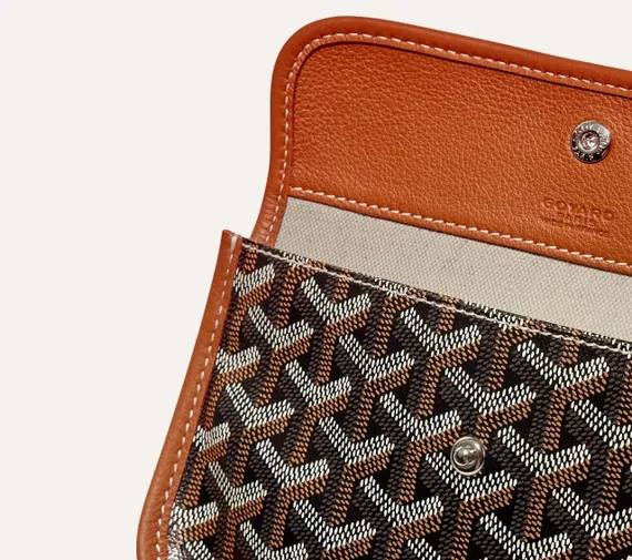 Сумка GOYARD Saint Louis