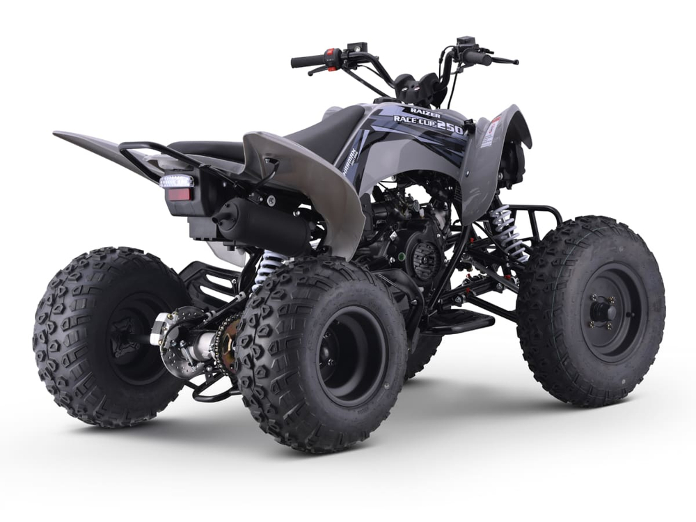Квадроцикл SHARMAX Raizer Race Cup 250