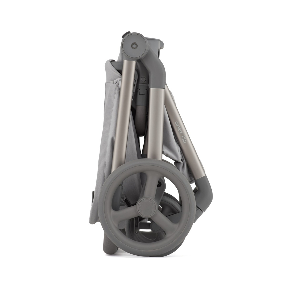 Коляска 2 в 1 ANEX Flo Frossy