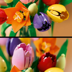 LEGO Botanicals - Букет тюльпанов 11501