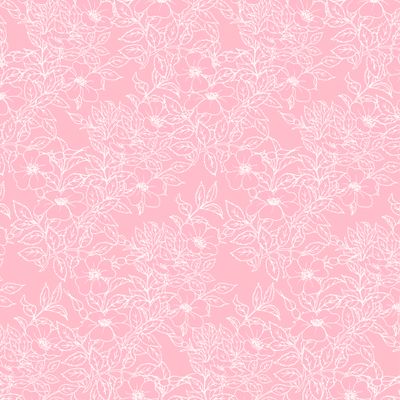 Цветущий шиповник на розовом