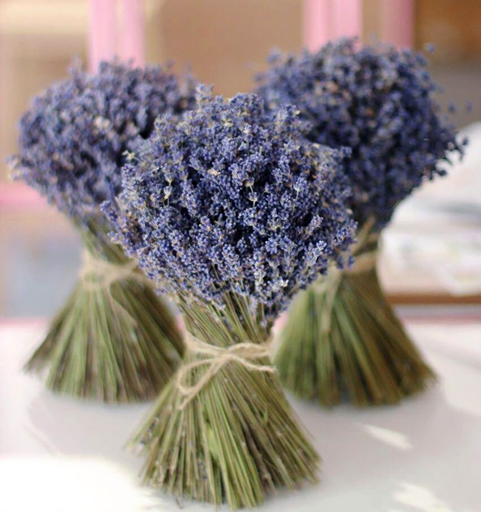 Букет сухоцветов Лаванда 25х20 см Букет сухоцветов Лаванда 25х20 см