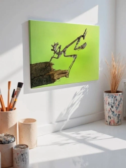 Картина на стену 40 X 50 Палочник