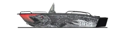 Лодка Гиргис 390 Консоль