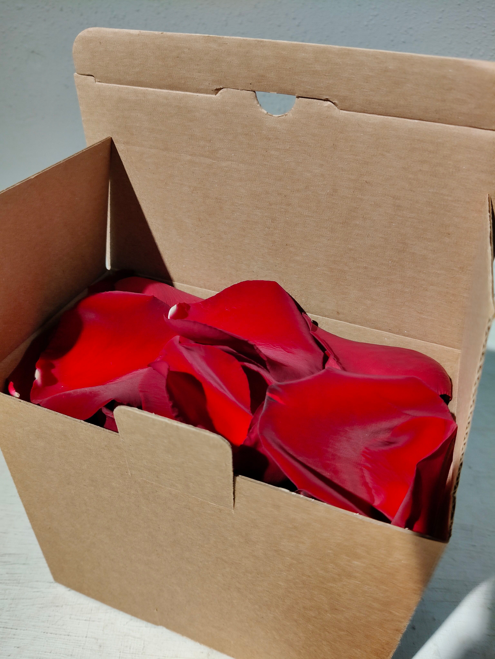 Лепестки живых роз