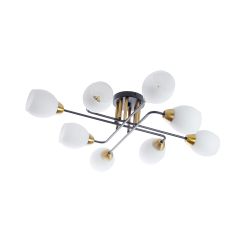 Потолочная люстра Arte Lamp