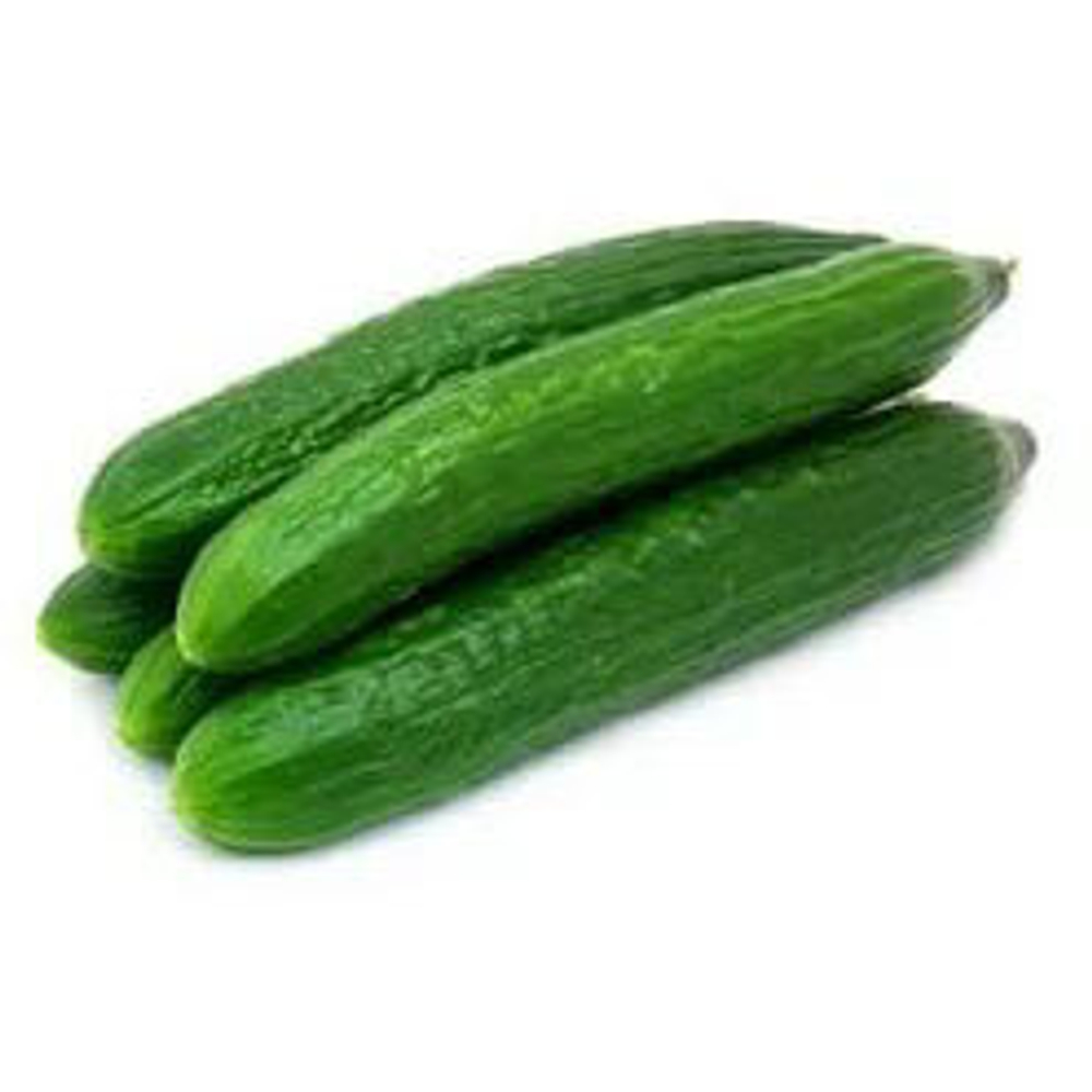 254406