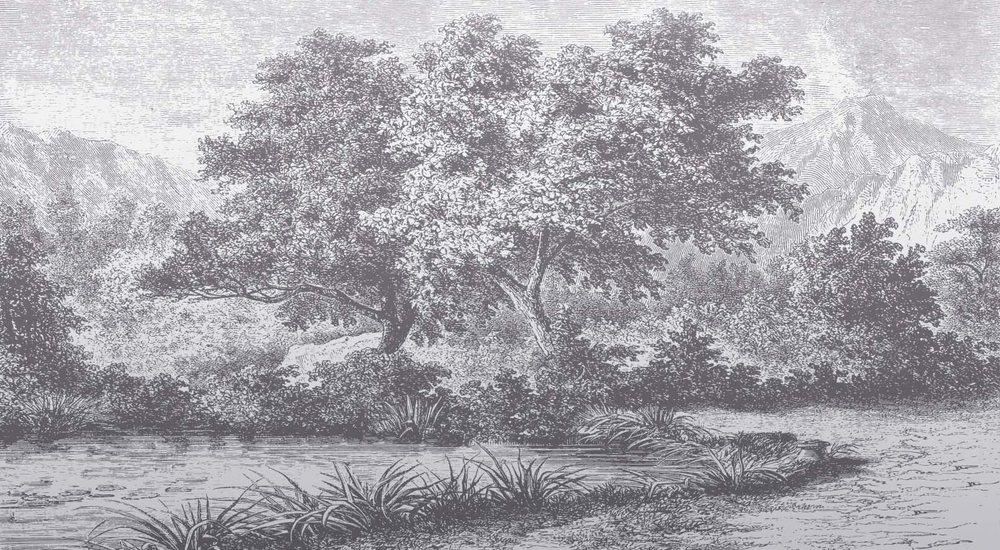 Дизайнерские обои Wall Street Estampe