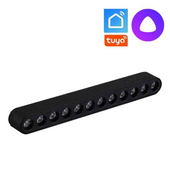 13002-9.3-001UR magnetic LED12W BK CCT+SMART