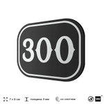 Номерок на дверь квартиры 300, для кабинета, офиса, шильдик 9 х 7 см, черный, Айдентика Технолоджи