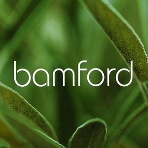 Bamford One Morning