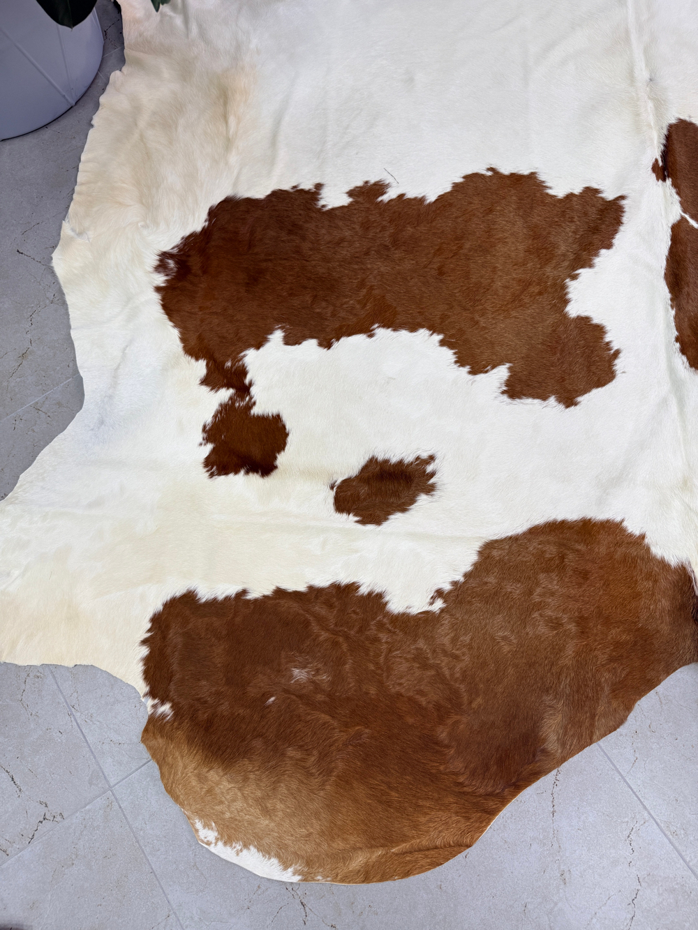 Коровья шкура на пол натуральная. 200 х 190 см