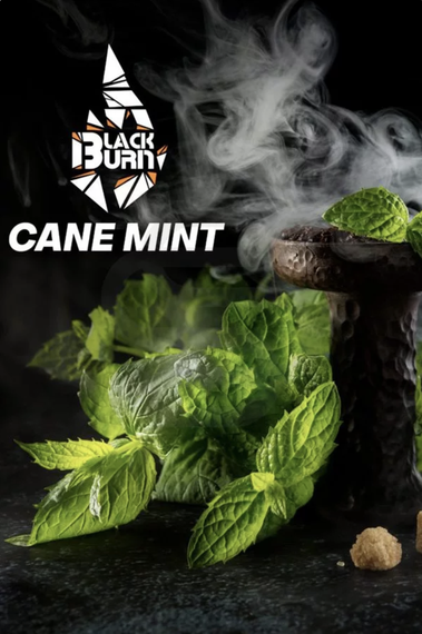 Black Burn - Cane Mint (200g)