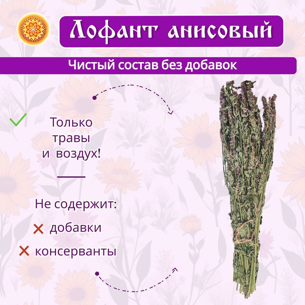 Лофант анисовый пучок.