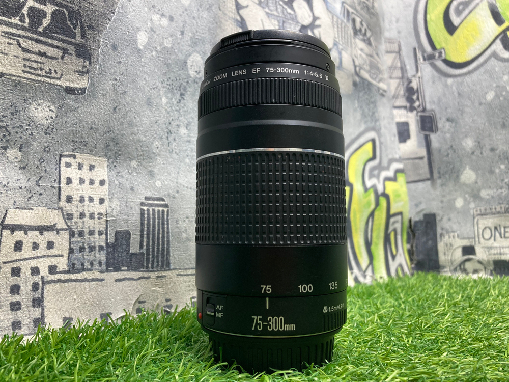 Canon EF 75-300mm 4-5.6 III