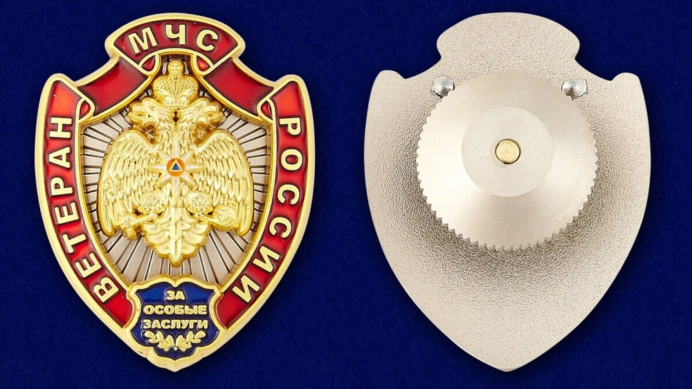 Знак "Ветеран МЧС" Учреждение: 06.12.2010