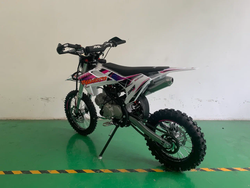 Питбайк JHL Z140E Pro (YX1P56FMJ)
