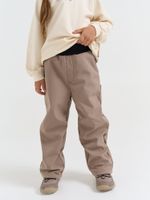 Брюки Softshell демисезонные "Кокос"