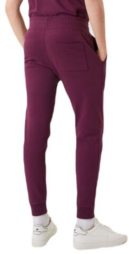 Теннисные брюки Bjorn Borg Logo Pants - grape wine
