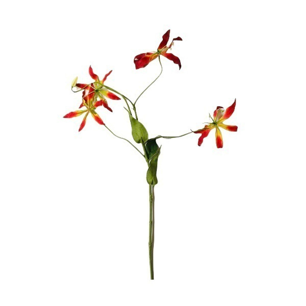 Глориоза красно-жёлтая [Арт. 101145/398]