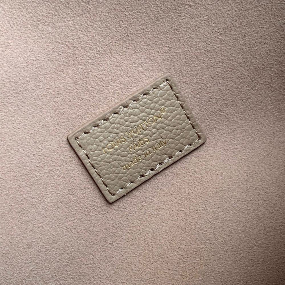 Louis Vuitton Anytime Flap Bag