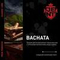 Табак для кальяна JENT (Джент) с ароматом Bachata (сладкий табак), 30гр