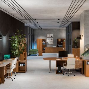 Офисная мебель Континент Ольха