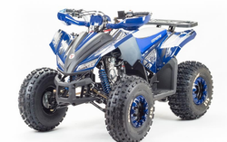 Квадроцикл MOTOLAND (МОТОЛЕНД) 125 COYOTE