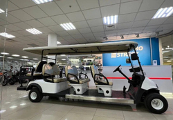 Гольфкар GreenMotortech 6+2