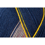 Regia Design Line PAIRFECT 4 ply - 09091 (jolster color)