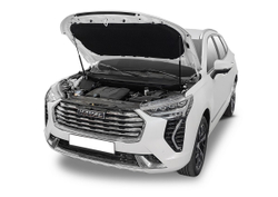 Упоры капота для Haval Jolion 2021-н.в., 2 шт., UHAJOL011