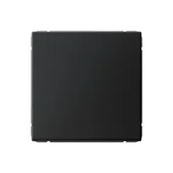 Выключатель кнопочный 1-кл. ArtGallery 10А механизм карбон SE GAL001015