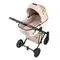 Коляска ANEX e/type 2 в 1 (et-SE04) joy