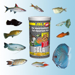 JBL Gala - основной премиум корм для рыб (хлопья)