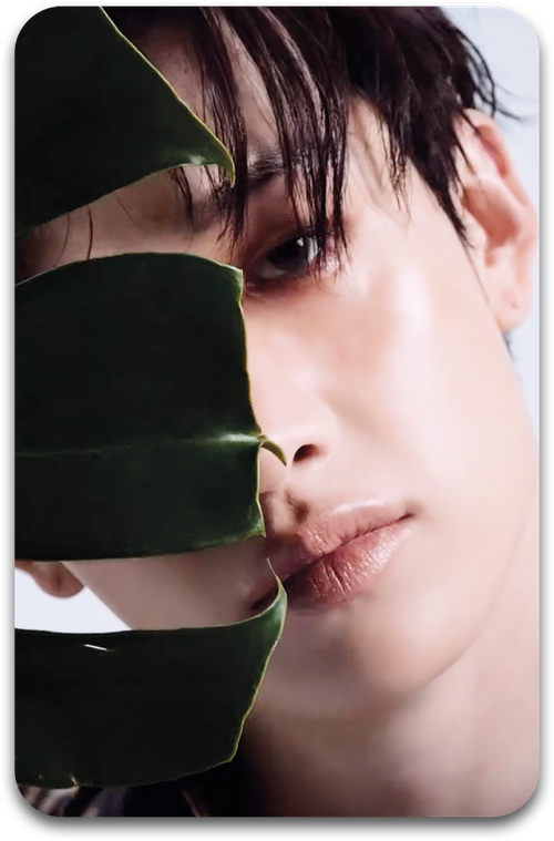 Карта / STRAY KIDS #1293