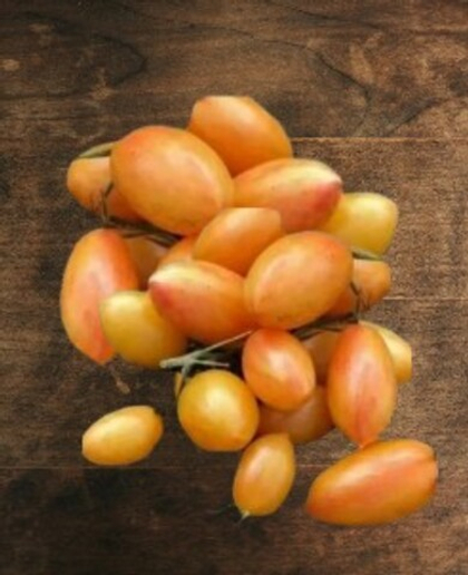 Томат биколор Золото Амишей 10шт.