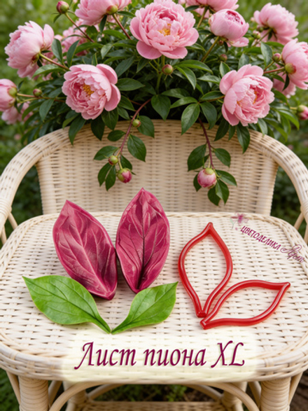 Лист пиона XL