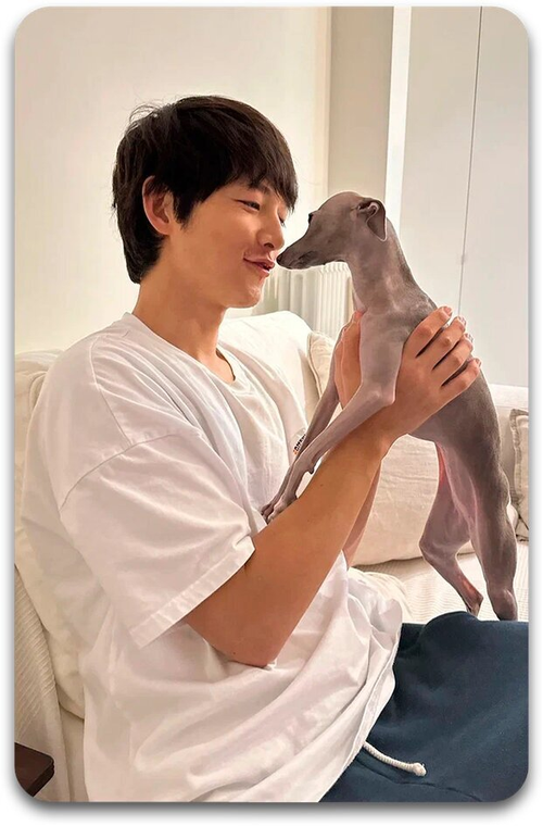 Карта #1960 / Song Joongki